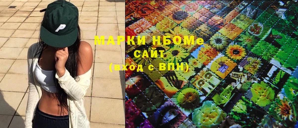 PSILOCYBIN Алзамай