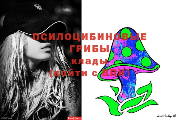 PSILOCYBIN Алзамай