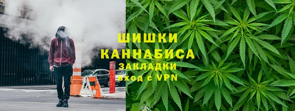 PSILOCYBIN Алзамай