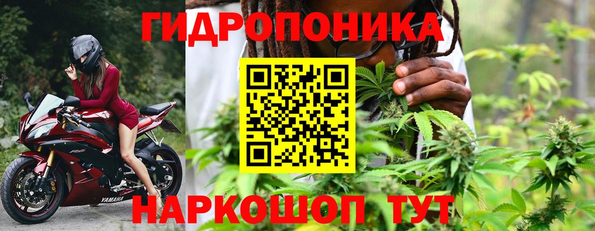 Марихуана AK-47  Каннабис планчик  Заводоуковск  Вход с VPN  Марихуана марихуана 
